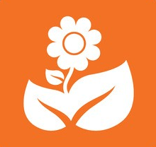 FLORIST.WEB.ID